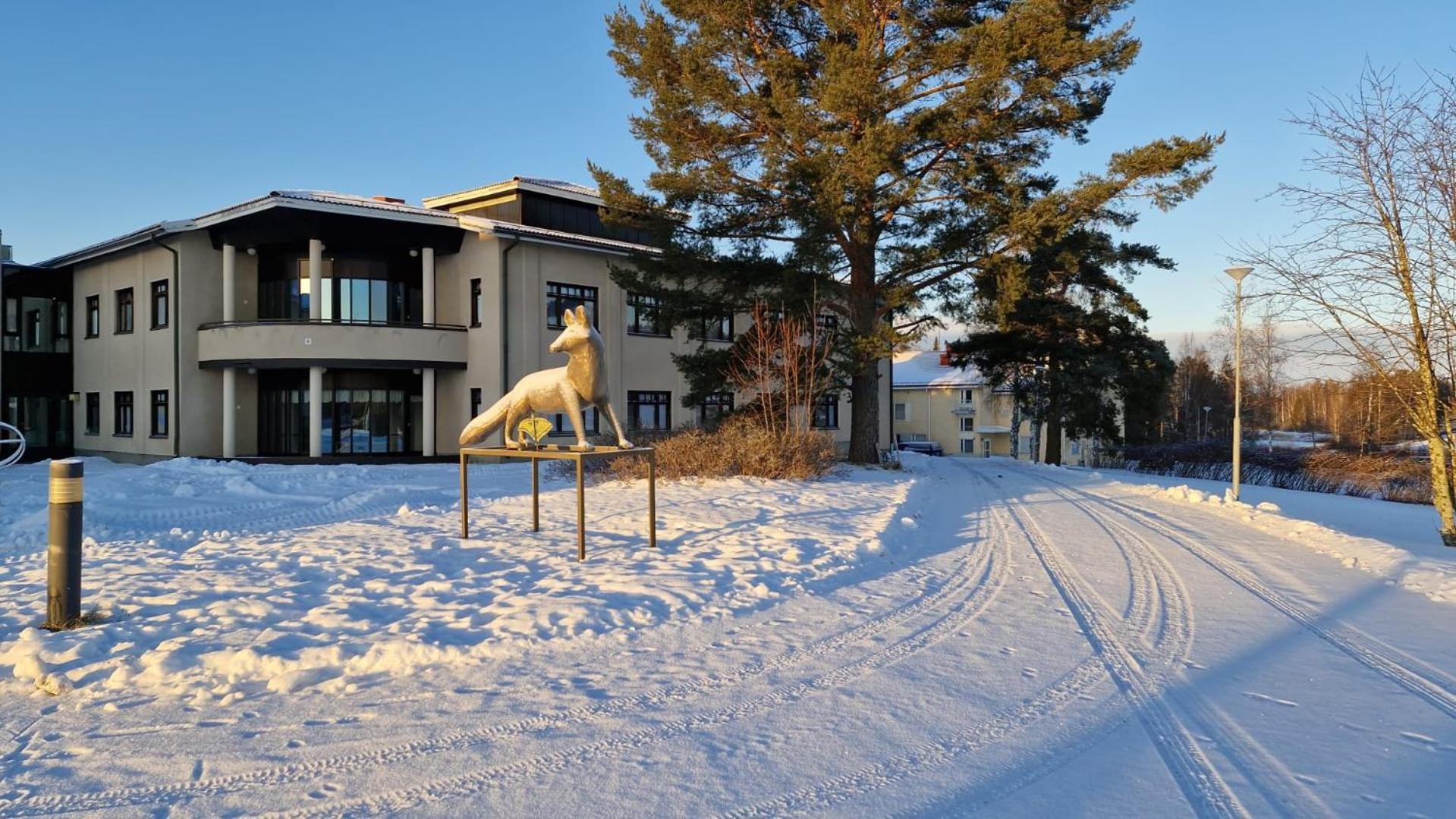 Auberge de jeunesse Majoitus Fox à Kuopio Extérieur photo